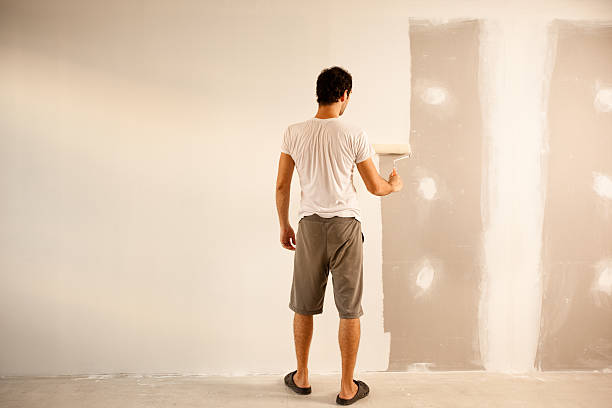 Best Residential Painting  in Maple Plain, MN